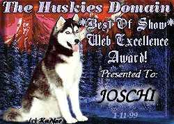 The Huskies Domain Web Excellence 
Award