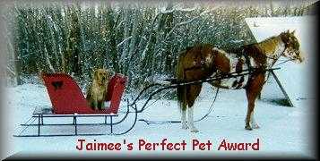 Jaimee's Perfect Pet Award