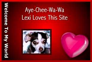 Lexi Loves This Site