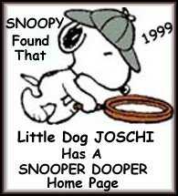 Snoopy Award for Joschi