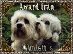 Wimlett Award