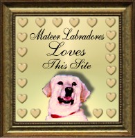 Mateer Labradores Loves This Site