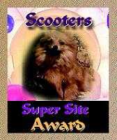 Scooters Super Site Award