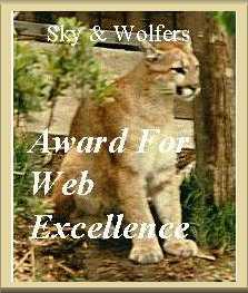 Sky & Wolfers Award For Web Excellence