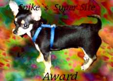 Spike's Super Site Award