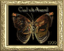 Cool Site Award 1999