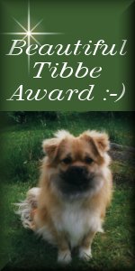 Beautiful Tibbe Award