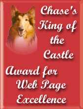 Net Buddies Animal Lovers Award