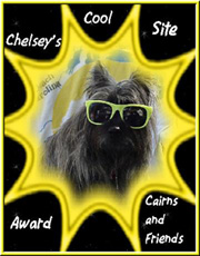 Chelsey's Cool Site Award