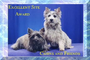 Excellent Site Award