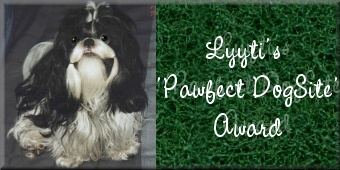 Lyyti's Pawfect DogSite Award