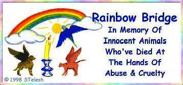 Rainbow Bridge In Memory Of Innocent Animals!
