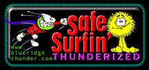 Safe Surfin' --- THUNDERIZED Award