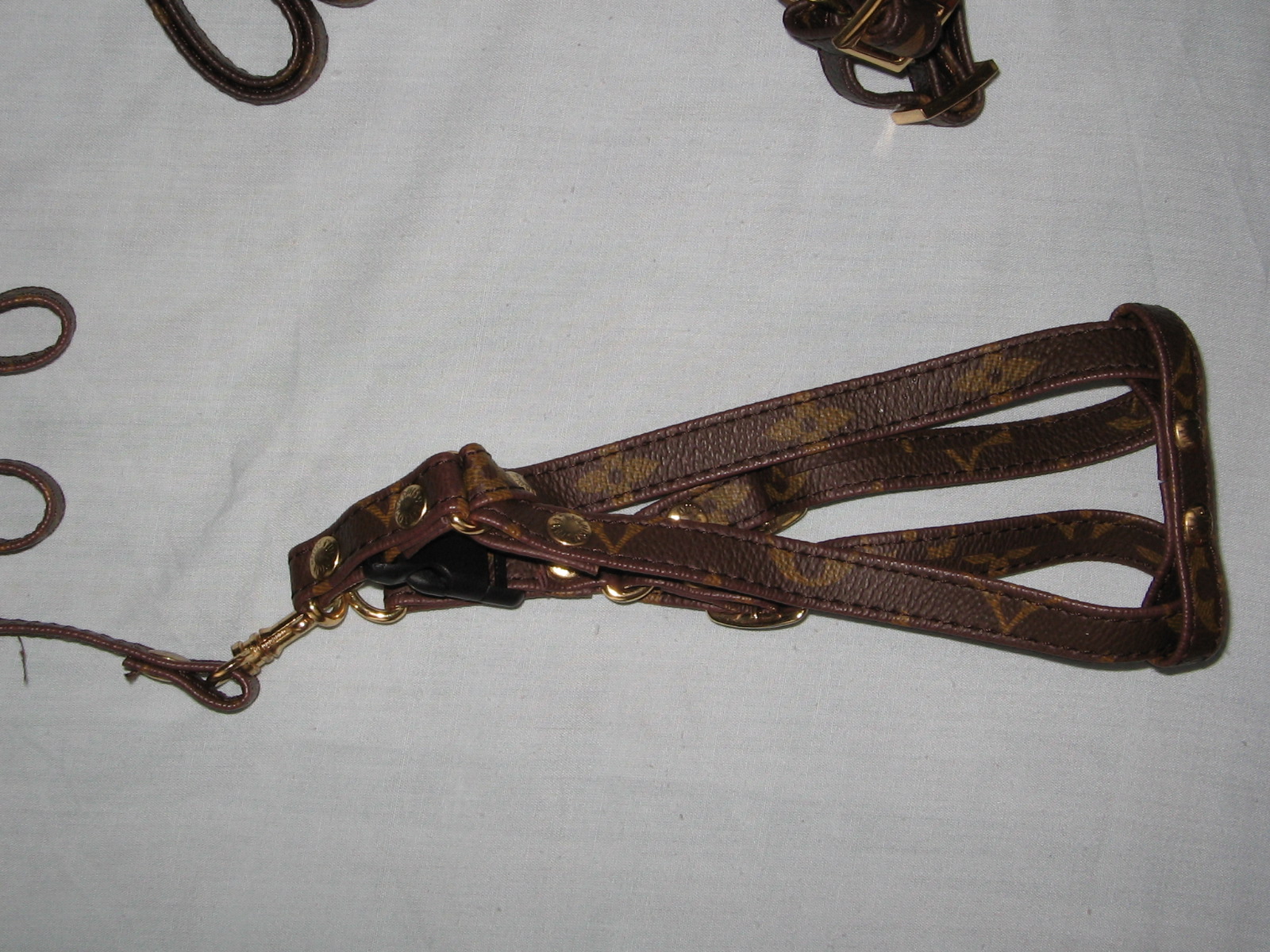 Louis Vuitton dog collar and leash and harness